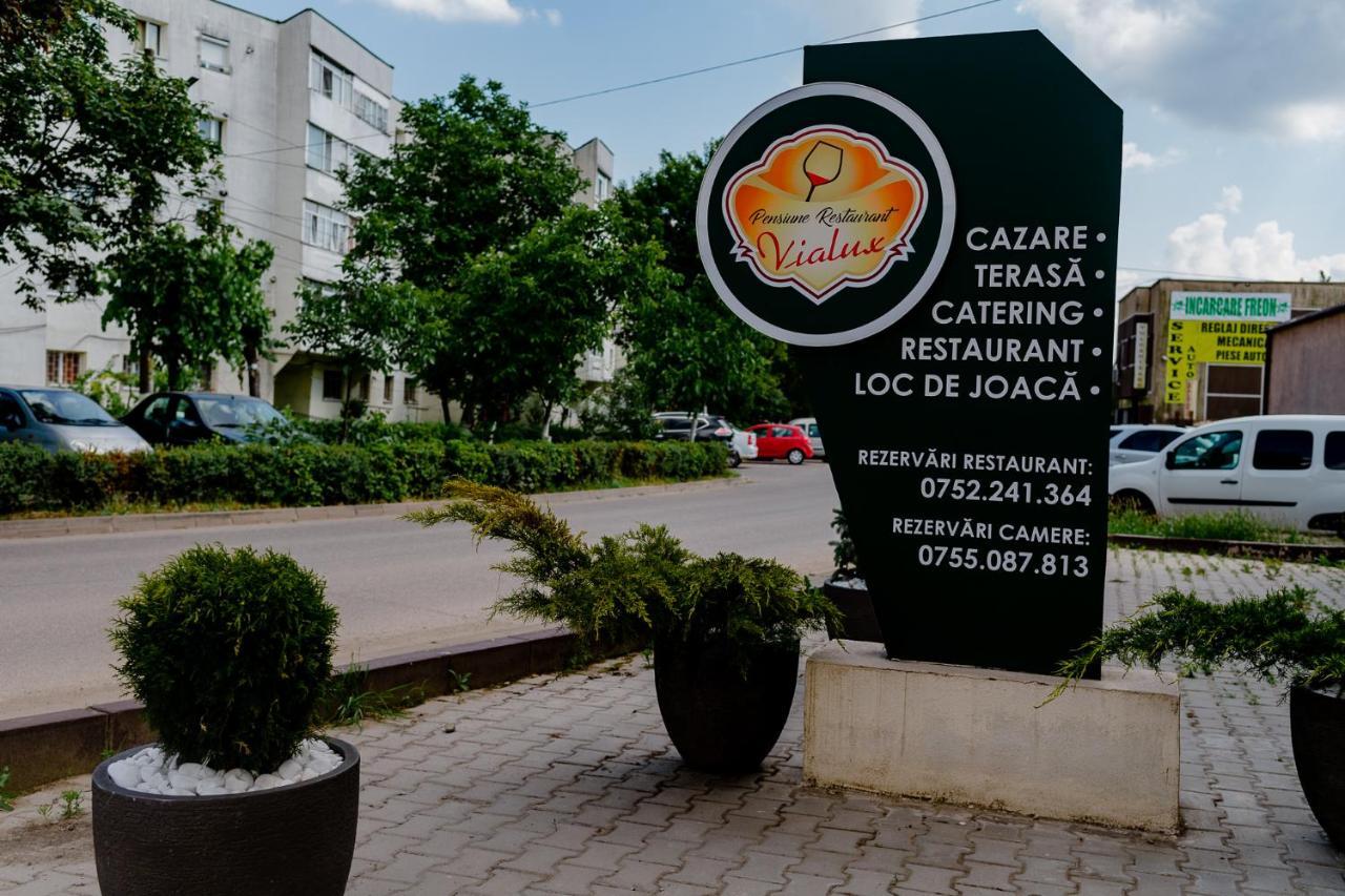 Pensiunea Vialux Bacău Buitenkant foto